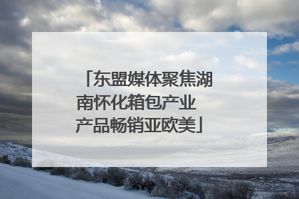 东盟媒体聚焦湖南怀化箱包产业 产品畅销亚欧美