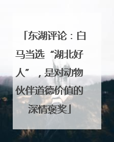 东湖评论：白马当选“湖北好人”，是对动物伙伴道德价值的深情褒奖