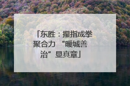 东胜：攥指成拳聚合力 “暖城善治”显真章