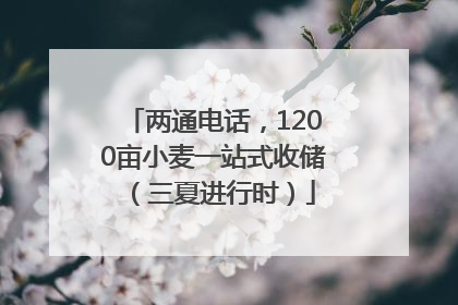 两通电话，1200亩小麦一站式收储（三夏进行时）