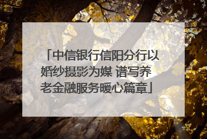 中信银行信阳分行以婚纱摄影为媒 谱写养老金融服务暖心篇章