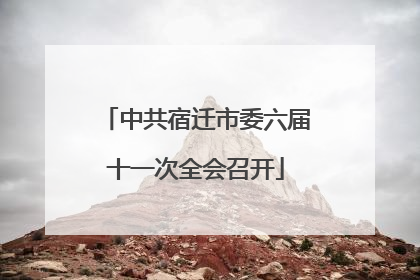 中共宿迁市委六届十一次全会召开