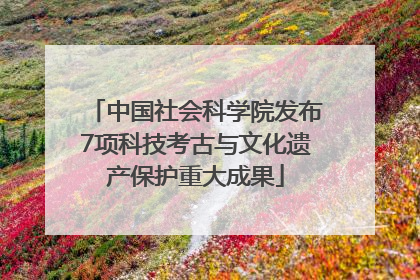 中国社会科学院发布7项科技考古与文化遗产保护重大成果
