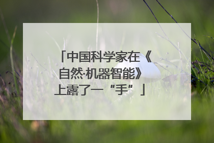 中国科学家在《自然·机器智能》上露了一“手”