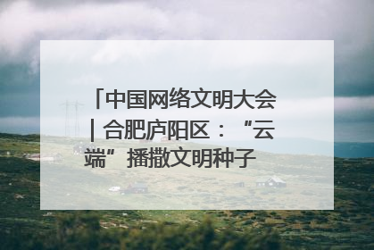 中国网络文明大会｜合肥庐阳区：“云端”播撒文明种子 共建清朗网络空间