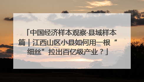 中国经济样本观察·县域样本篇｜江西山区小县如何用一根“细丝”拉出百亿级产业？