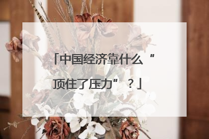 中国经济靠什么“顶住了压力”？