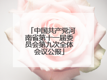 中国共产党河南省第十一届委员会第九次全体会议公报