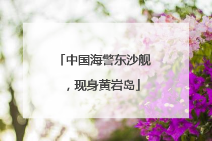 中国海警东沙舰，现身黄岩岛