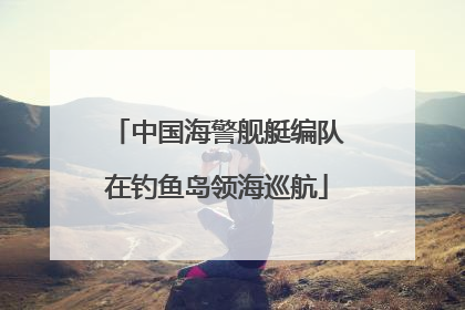 中国海警舰艇编队在钓鱼岛领海巡航
