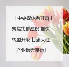 中央媒体看甘肃丨聚焦集群建设 加快转型升级 甘肃支柱产业增势强劲