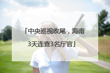 中央巡视收尾，海南3天连查3名厅官