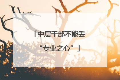 中层干部不能丢“专业之心”