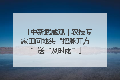 中新武威观｜农技专家田间地头“把脉开方”送“及时雨”