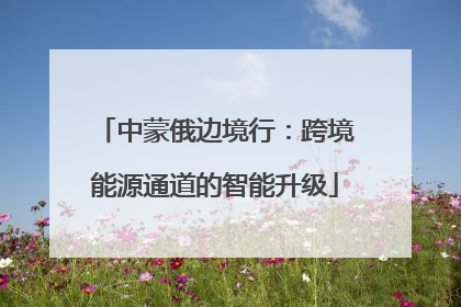 中蒙俄边境行：跨境能源通道的智能升级
