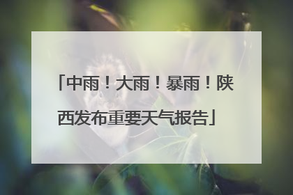 中雨！大雨！暴雨！陕西发布重要天气报告