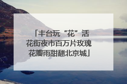 丰台玩“花”活 花街夜市百万片玫瑰花瓣雨甜翻北京城