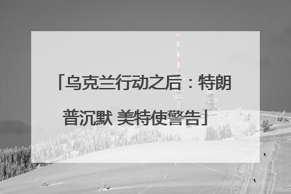 乌克兰行动之后：特朗普沉默 美特使警告