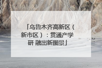 乌鲁木齐高新区（新市区）：贯通产学研 融出新图景