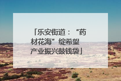 乐安街道：“药材花海”绽希望 产业振兴鼓钱袋