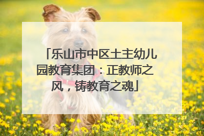 乐山市中区土主幼儿园教育集团：正教师之风，铸教育之魂