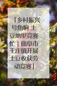 乡村振兴号角响 土豆地里竞赛忙｜曲阜市王庄镇开展土豆收获劳动竞赛