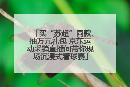 买“苏超”同款、抽万元礼包 京东运动采销直播间带你现场沉浸式看球赛