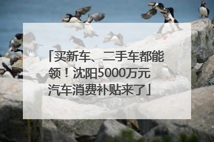 买新车、二手车都能领！沈阳5000万元汽车消费补贴来了