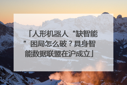 人形机器人“缺智能”困局怎么破？具身智能数据联盟在沪成立
