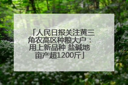 人民日报关注黄三角农高区种粮大户：用上新品种 盐碱地亩产超1200斤