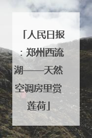人民日报：郑州西流湖——天然空调房里赏莲荷