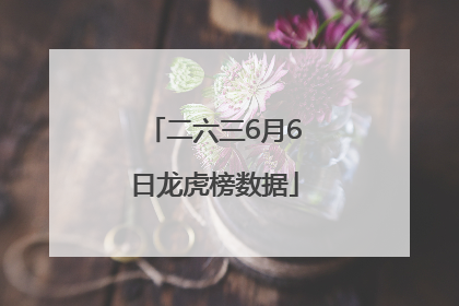 二六三6月6日龙虎榜数据