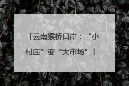 云南猴桥口岸：“小村庄”变“大市场”