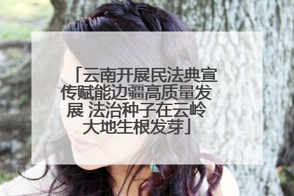 云南开展民法典宣传赋能边疆高质量发展 法治种子在云岭大地生根发芽