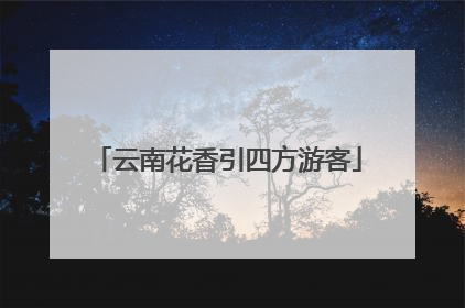 云南花香引四方游客