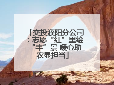 交投濮阳分公司：志愿“红”里绘“丰”景 暖心助农显担当