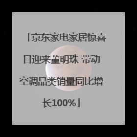 京东家电家居惊喜日迎来董明珠 带动空调品类销量同比增长100%
