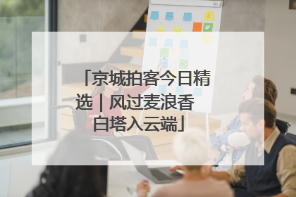 京城拍客今日精选｜风过麦浪香 白塔入云端
