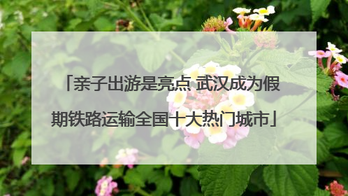 亲子出游是亮点 武汉成为假期铁路运输全国十大热门城市