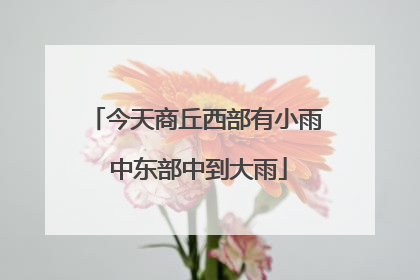今天商丘西部有小雨 中东部中到大雨