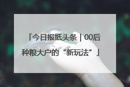 今日报纸头条｜00后种粮大户的“新玩法”