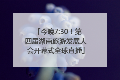 今晚7:30！第四届湖南旅游发展大会开幕式全球直播