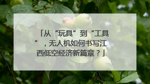 从“玩具”到“工具”，无人机如何书写江西低空经济新篇章？