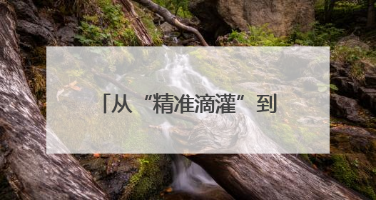 从“精准滴灌”到“全链护航” 四川朝天擦亮营商环境“金字招牌”