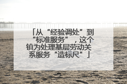 从“经验调处”到“标准服务”，这个镇为处理基层劳动关系服务“造标尺”