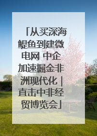从买深海鳀鱼到建微电网 中企加速掘金非洲现代化｜直击中非经贸博览会
