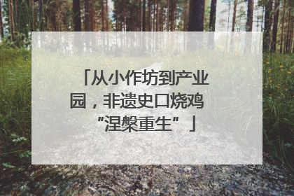 从小作坊到产业园，非遗史口烧鸡“涅槃重生”