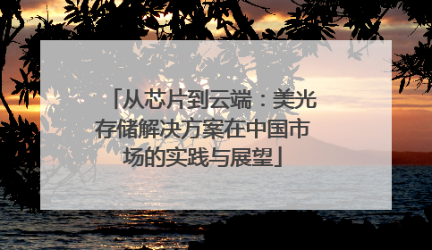 从芯片到云端：美光存储解决方案在中国市场的实践与展望