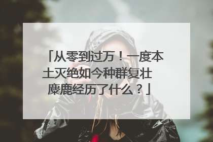 从零到过万！一度本土灭绝如今种群复壮 麋鹿经历了什么？