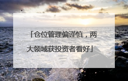 仓位管理偏谨慎，两大领域获投资者看好